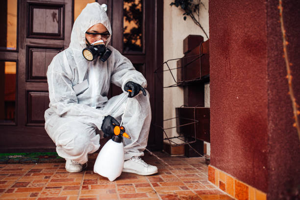 Reliable Wasp Removal contractor in Sauk Rapids, MN by Show Me Pest Control